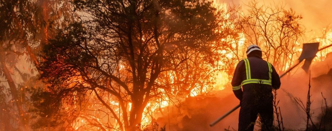 Forest fire signalling the need for Climate Change insurance